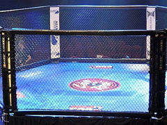 Двалишвили М. - Пётр Ян | Прямая онлайн трансляция 2025-12-07